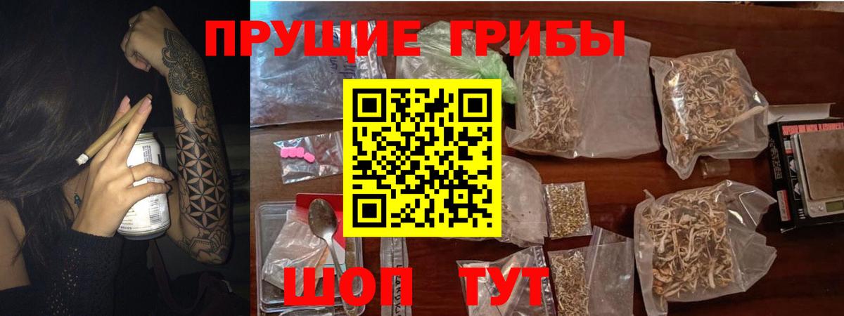 Галлюциногенные грибы GOLDEN TEACHER Жигулёвск
